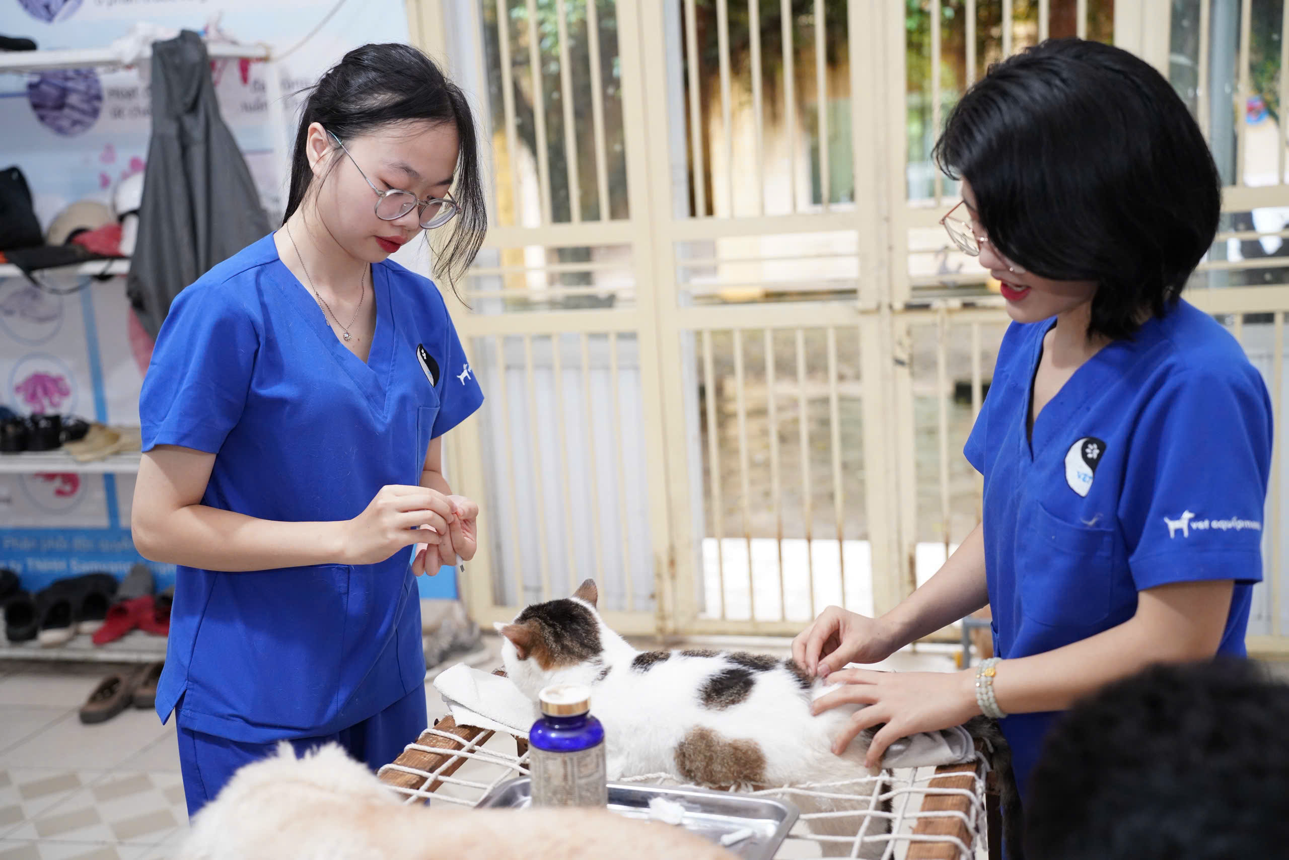 CHÂM CỨU THÚ Y